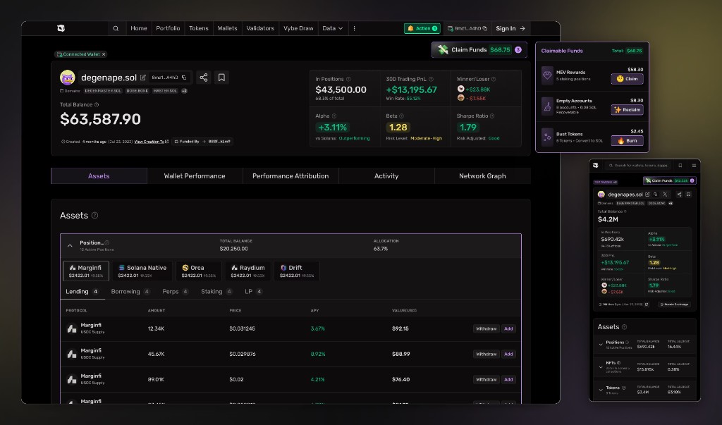 Vybe wallet profile page - portfolio dashboard